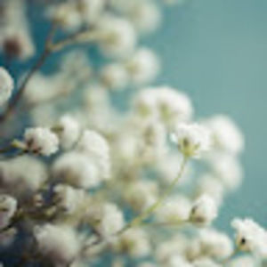 Meet your Posher, Benai